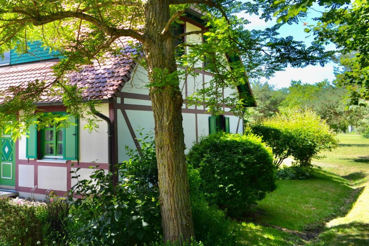 Strandnahe Ferienwohnung Ruegen ดรันส์เคอ ภายนอก รูปภาพ