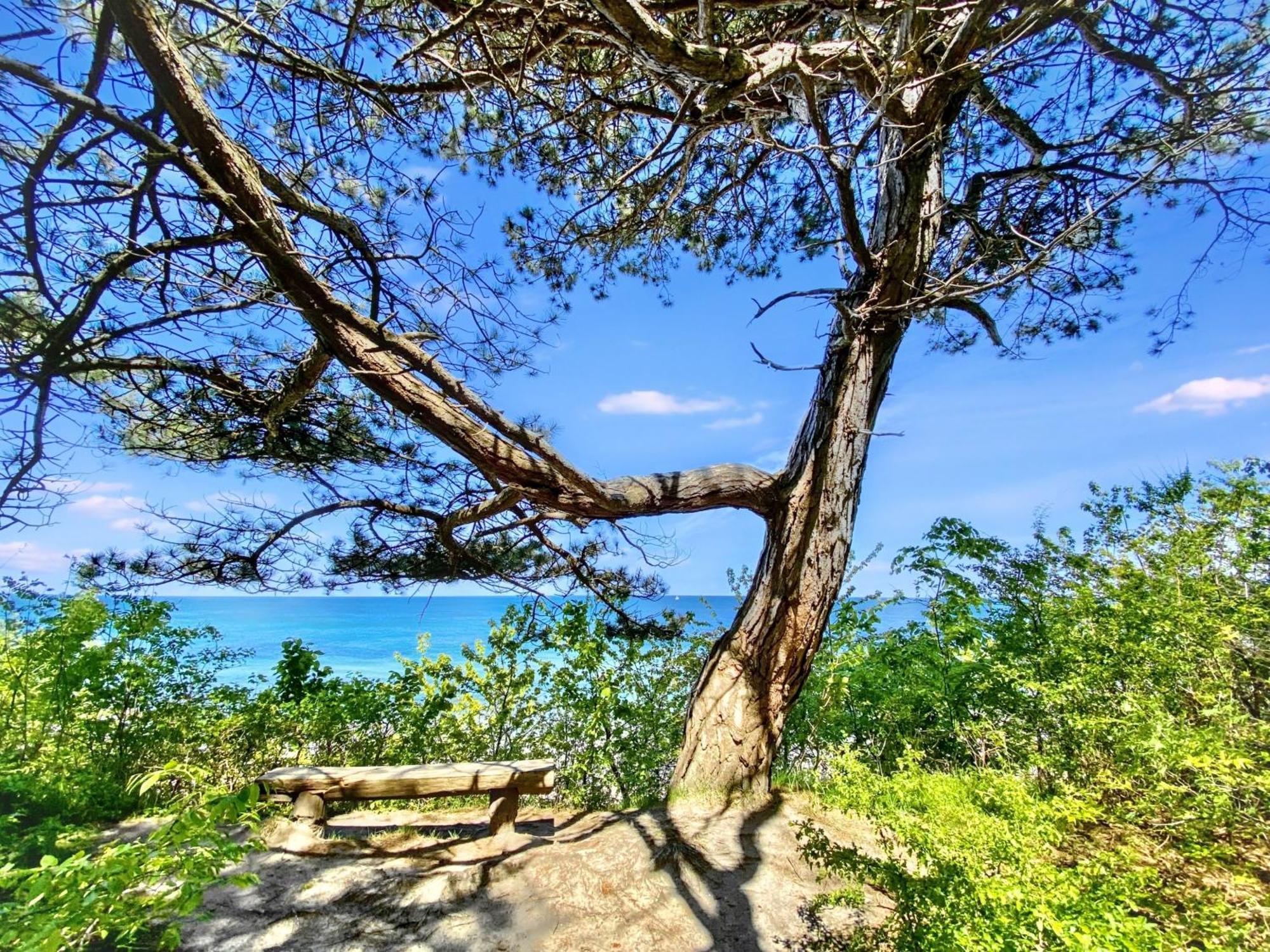 Strandnahe Ferienwohnung Ruegen ดรันส์เคอ ภายนอก รูปภาพ